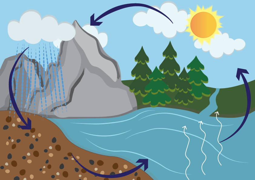 Veden kiertokulku kuvituskuva.